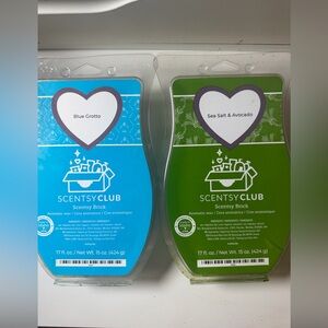 Scentsy Brick (See Description)